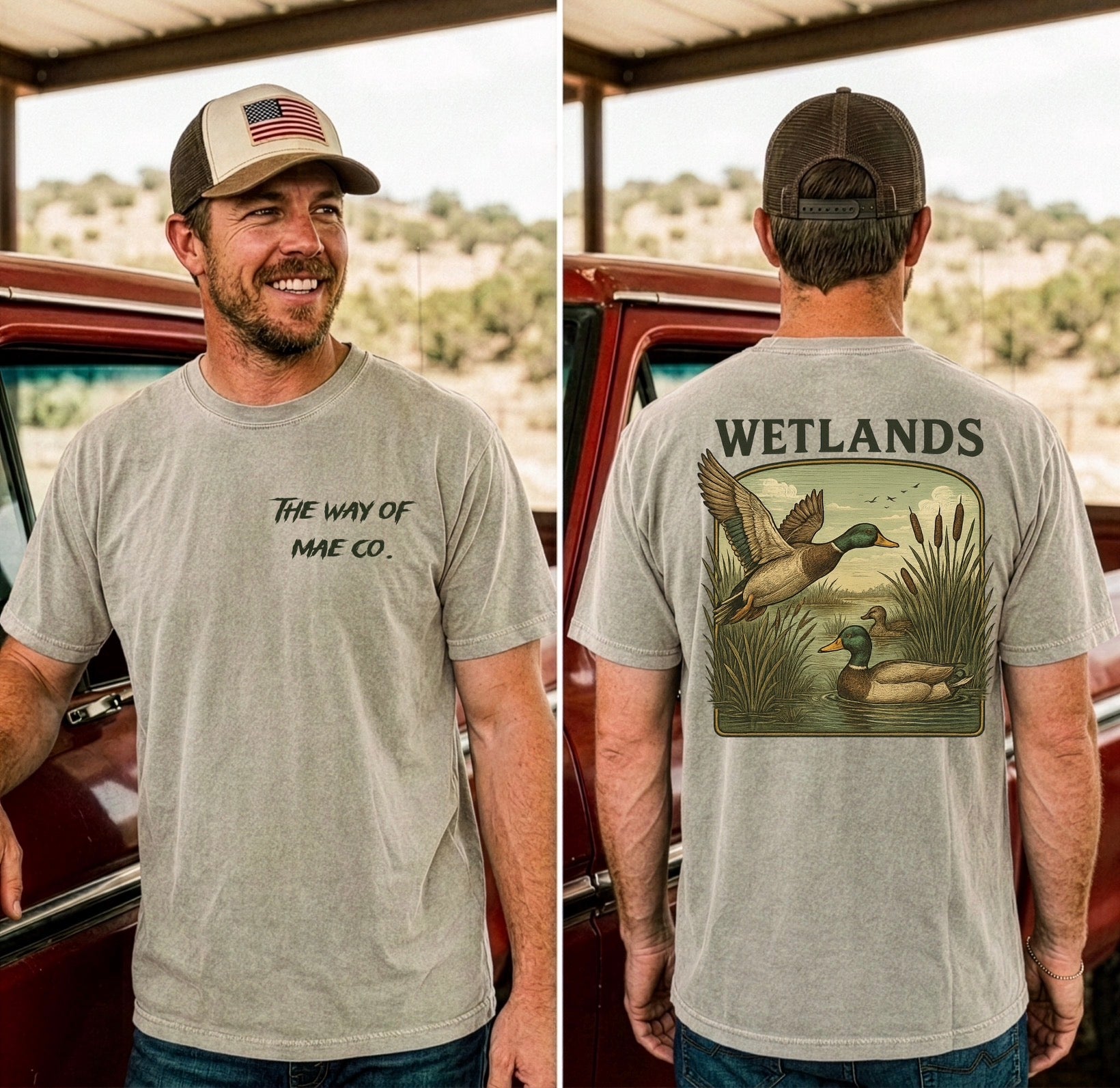Wetlands